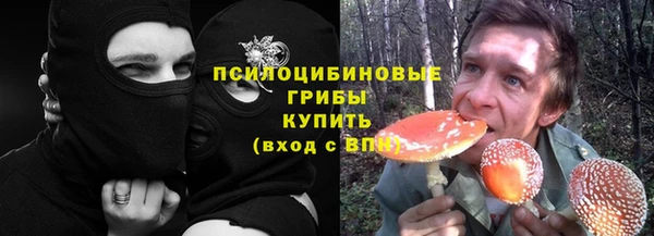 бошки Беломорск