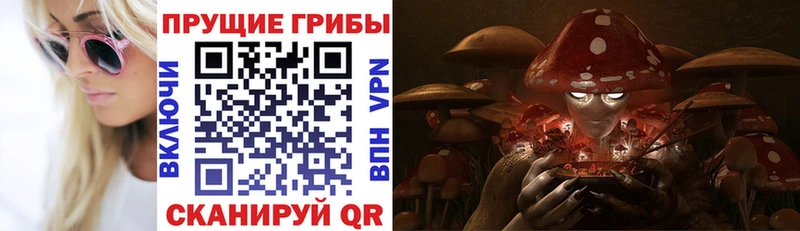 Псилоцибиновые грибы GOLDEN TEACHER  купить  сайты  Омск 